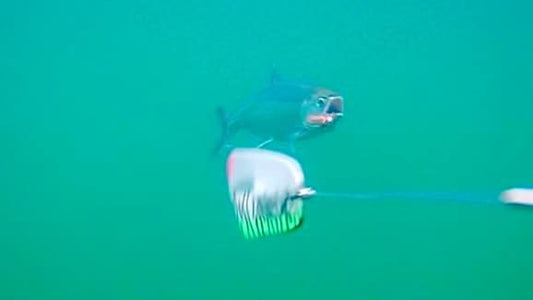 Spring time kokanee fishing